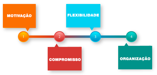 Temos motivação, compromisso, adaptação e flexibilidade, e mais importante, organização - Politica Funcional.com